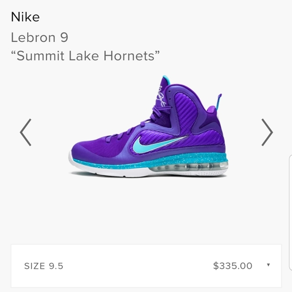 Lebron 9 Summit  Lake Hornets - Picture 5 of 5